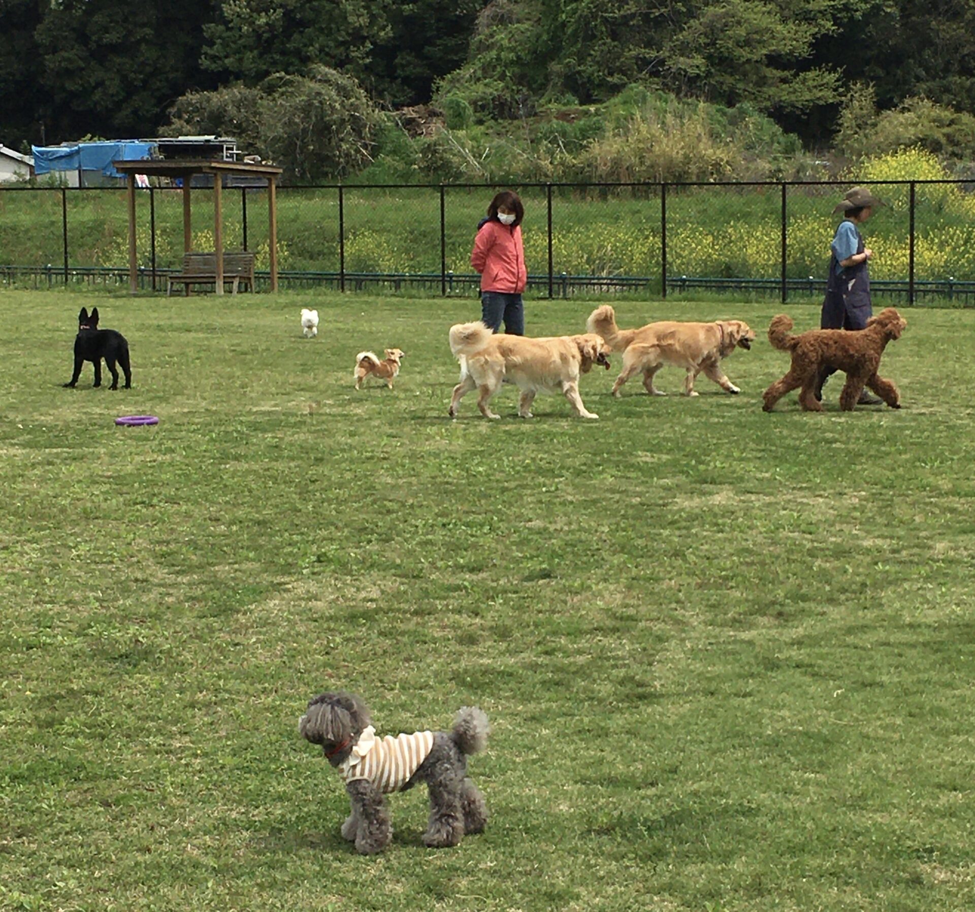 ファイル 8314-1.jpeg