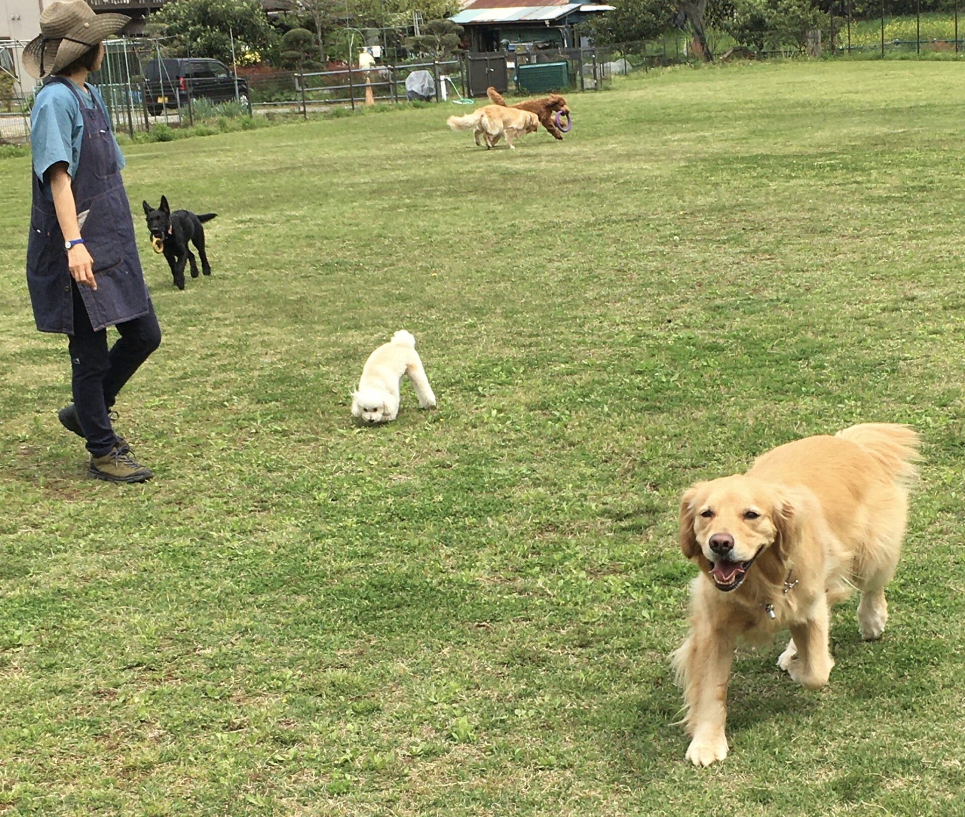 ファイル 8314-3.jpeg