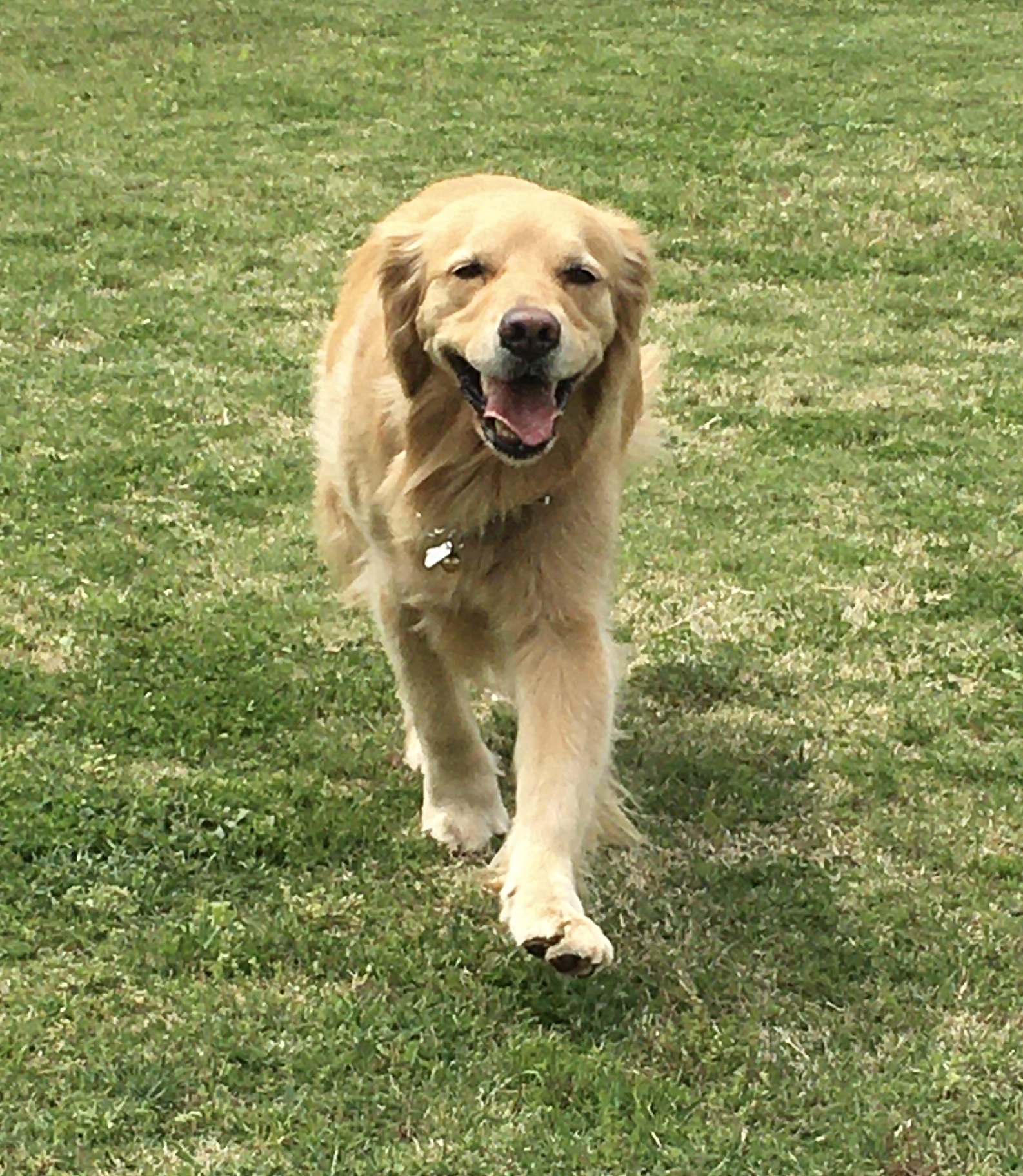 ファイル 8314-4.jpeg