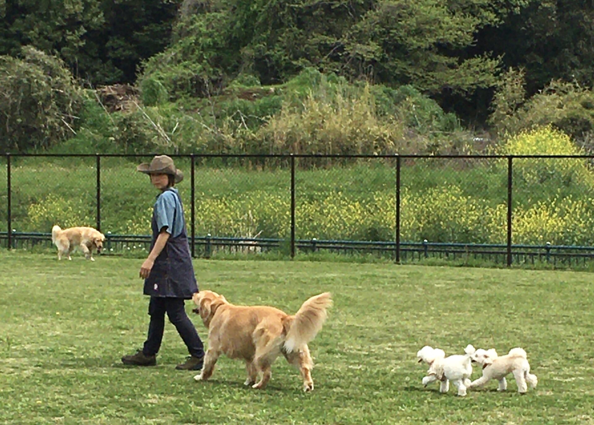 ファイル 8314-5.jpeg