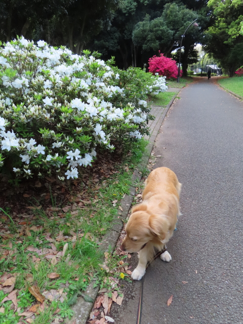 ファイル 8315-4.jpg