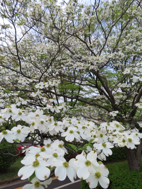 ファイル 8315-5.jpg