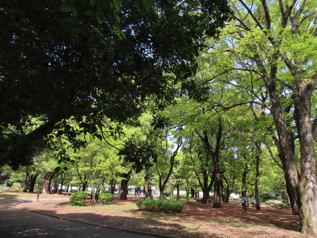 ファイル 8316-2.jpg