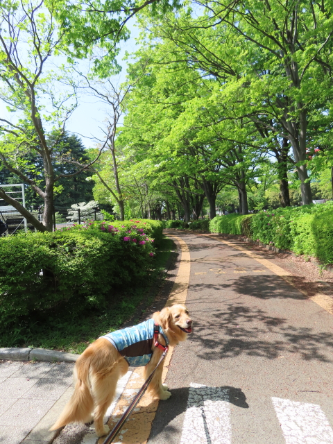 ファイル 8317-3.jpg