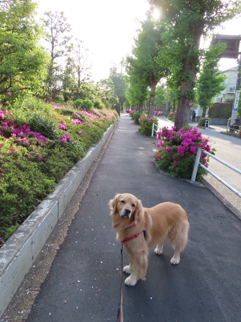 ファイル 8317-4.jpg