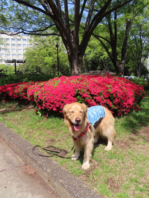 ファイル 8319-1.jpg