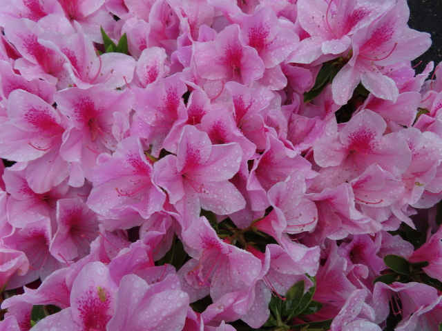 ファイル 8319-3.jpg