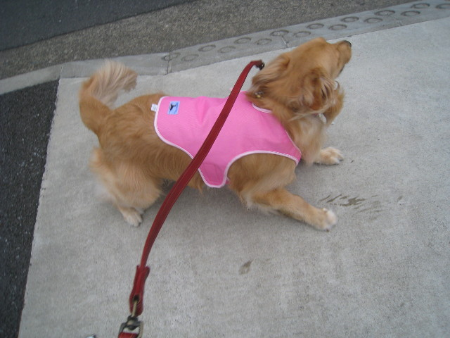 ファイル 832-1.jpg