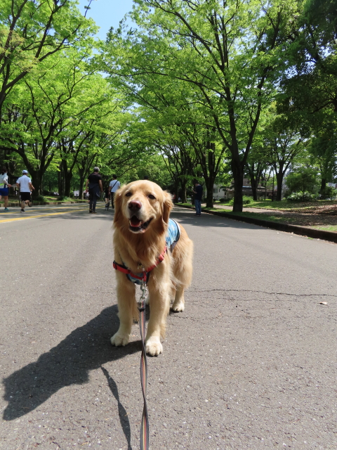 ファイル 8320-1.jpg