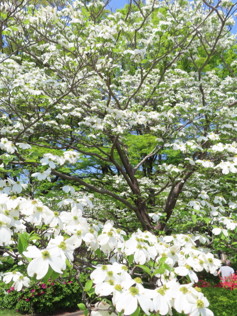 ファイル 8320-2.jpg