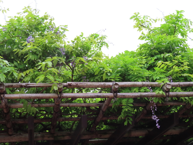 ファイル 8321-3.jpg