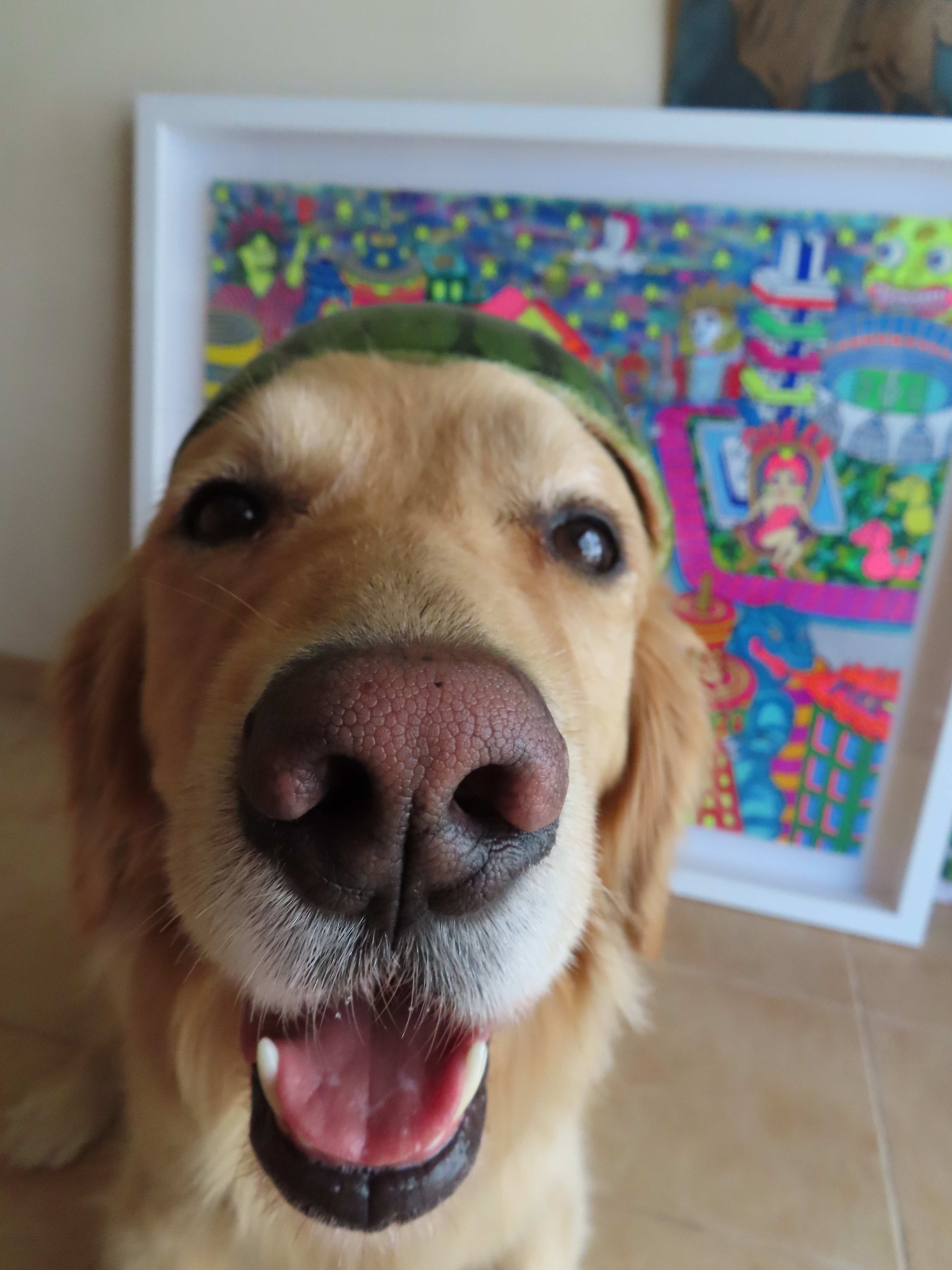 ファイル 8325-5.jpg