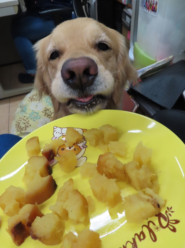 ファイル 8326-5.jpg