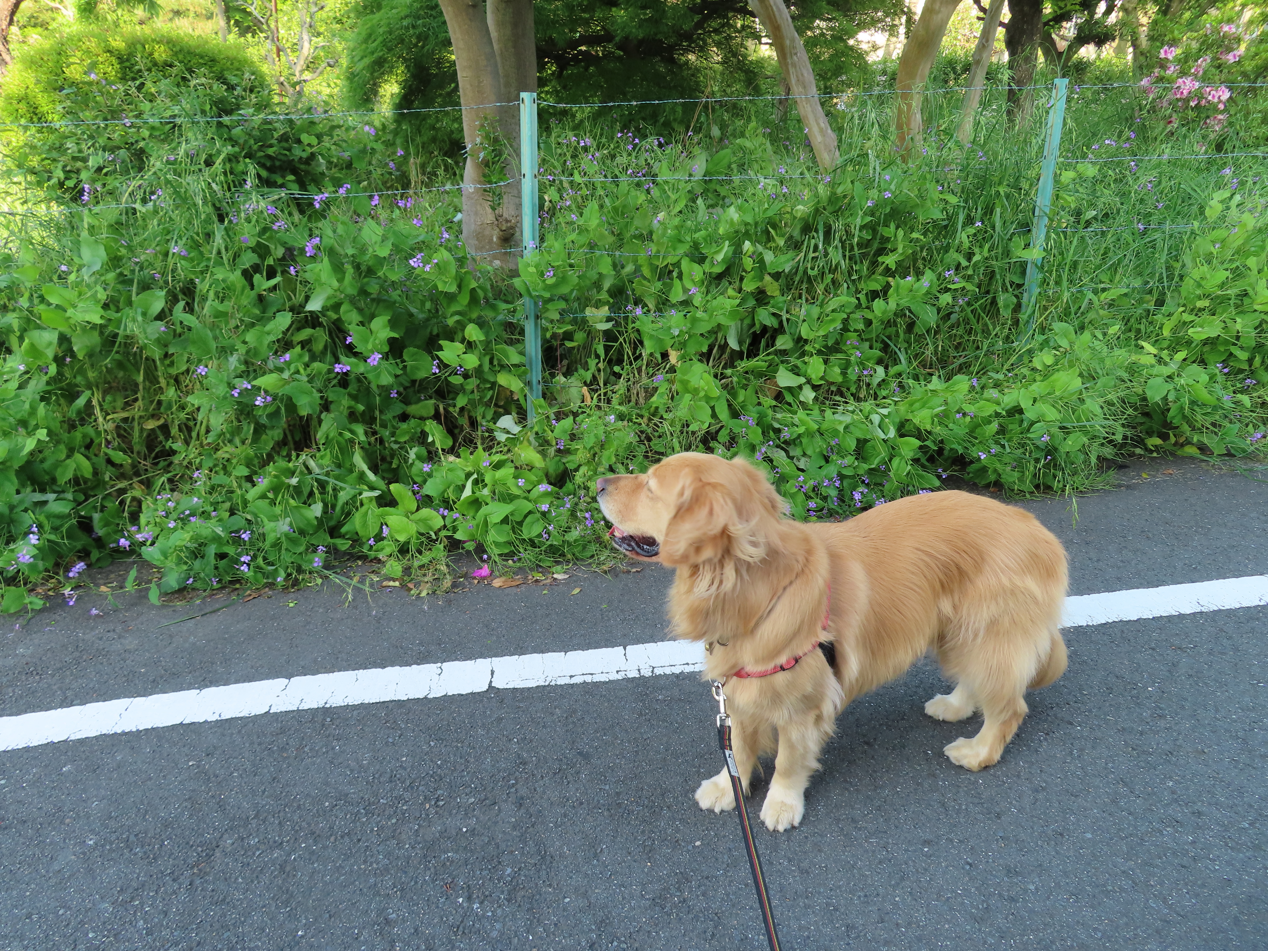 ファイル 8327-3.jpg