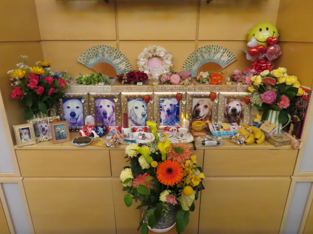 ファイル 8328-5.jpg