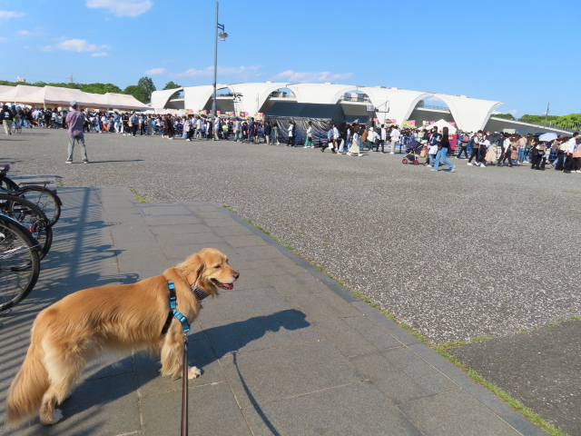 ファイル 8329-1.jpg