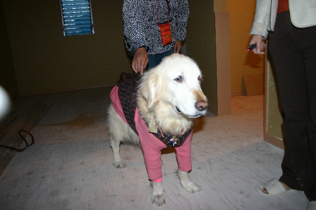 ファイル 833-1.jpg