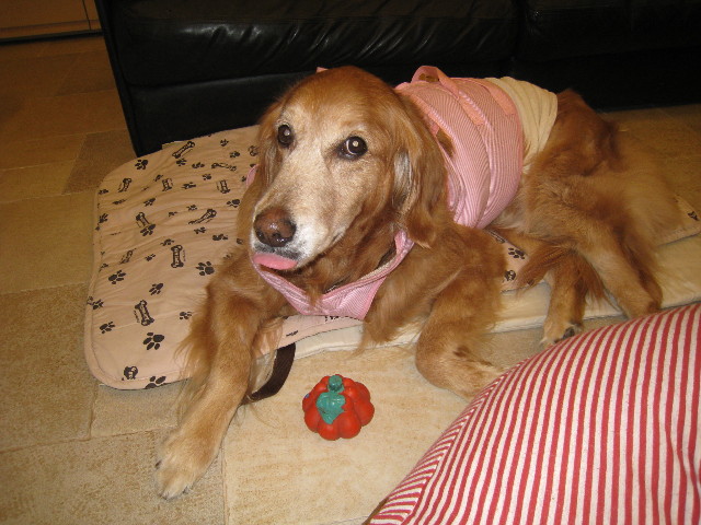 ファイル 833-3.jpg