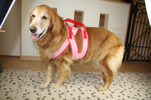 ファイル 833-4.jpg