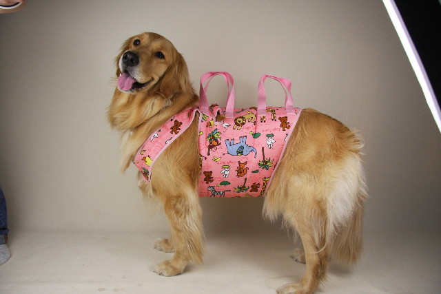 ファイル 833-5.jpg