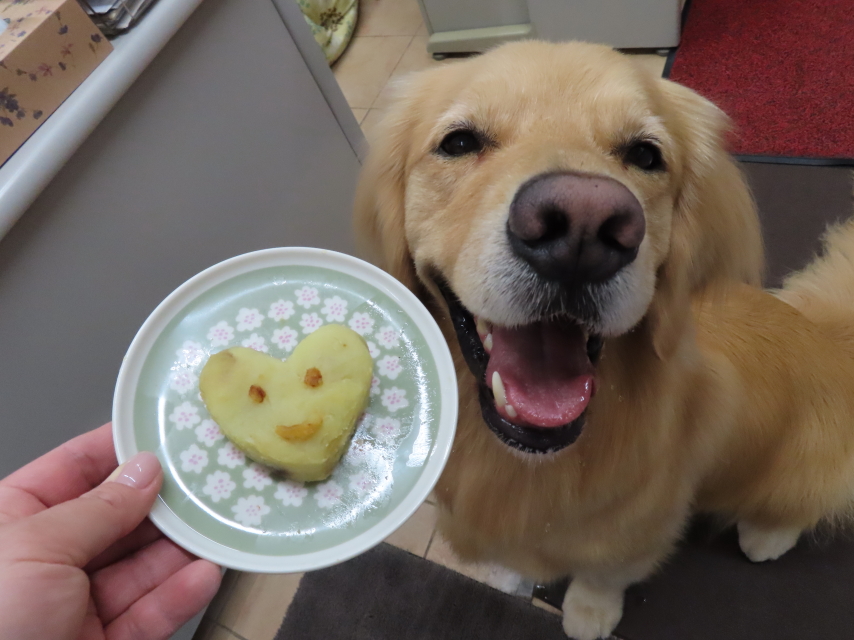 ファイル 8330-4.jpg