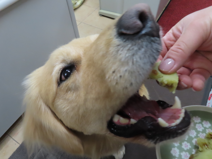 ファイル 8330-5.jpg