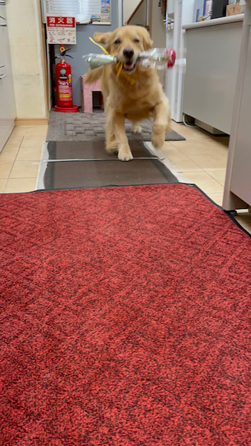 ファイル 8331-2.jpg