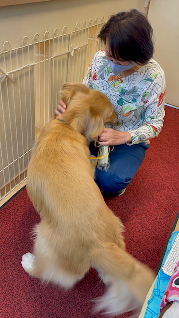 ファイル 8331-3.jpg