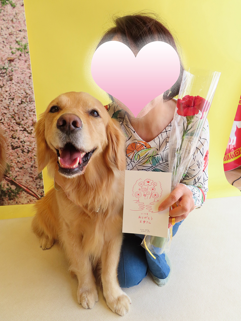 ファイル 8331-5.jpg