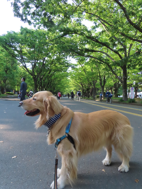 ファイル 8332-1.jpg