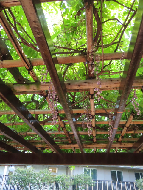 ファイル 8332-2.jpg