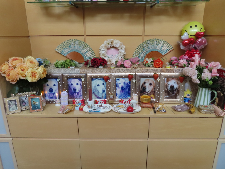 ファイル 8333-1.jpg