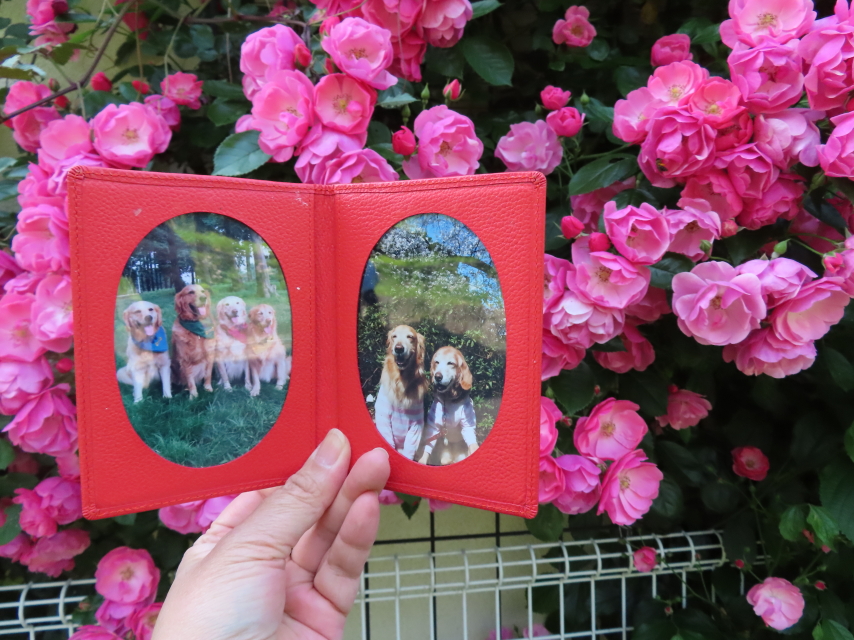 ファイル 8333-2.jpg