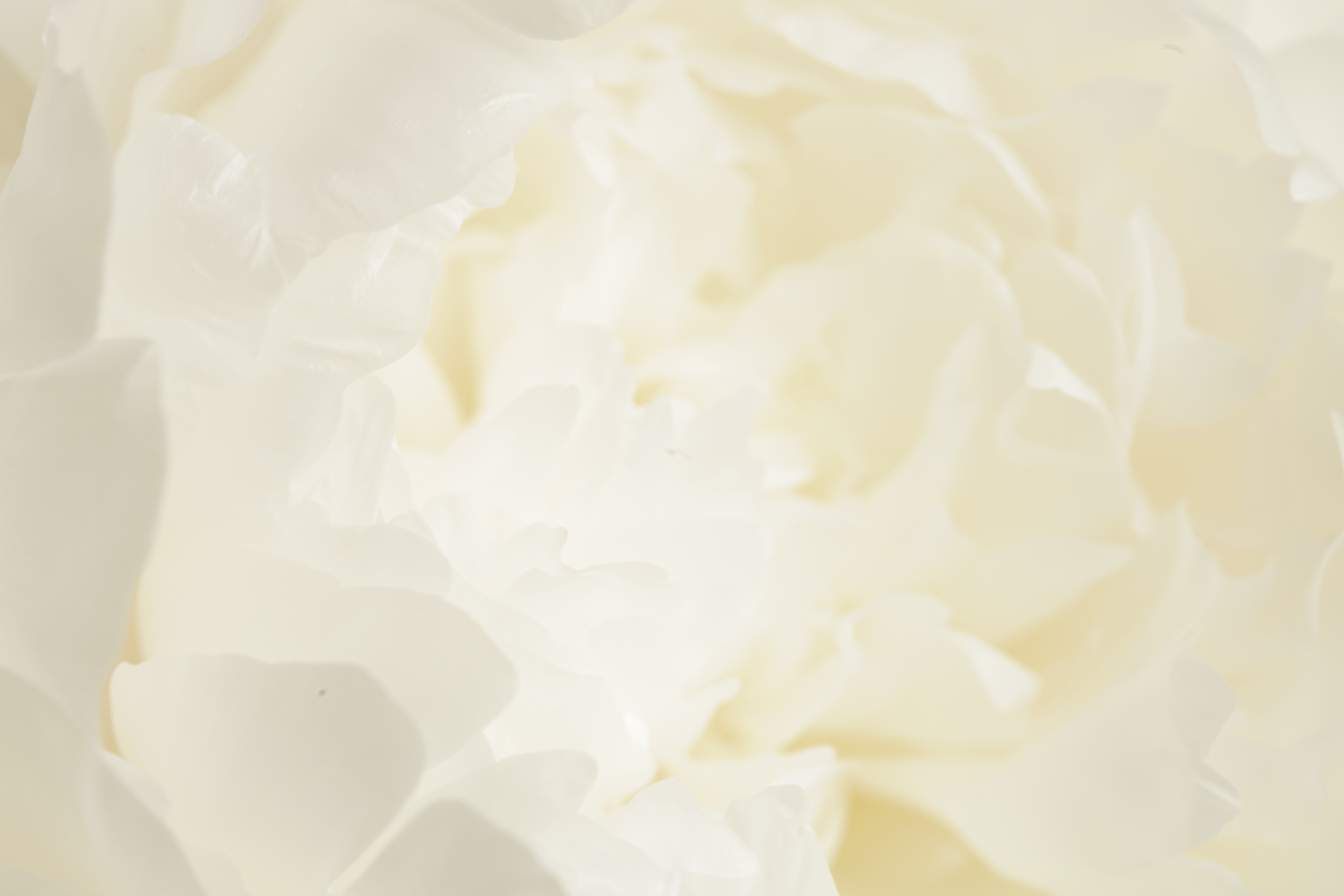 ファイル 8335-1.jpg