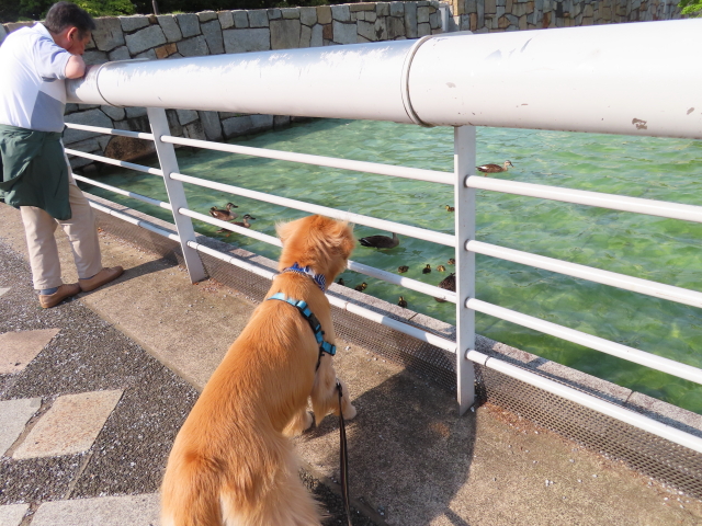 ファイル 8336-5.jpg