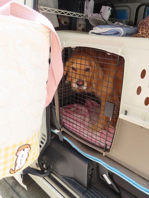 ファイル 8337-1.jpg