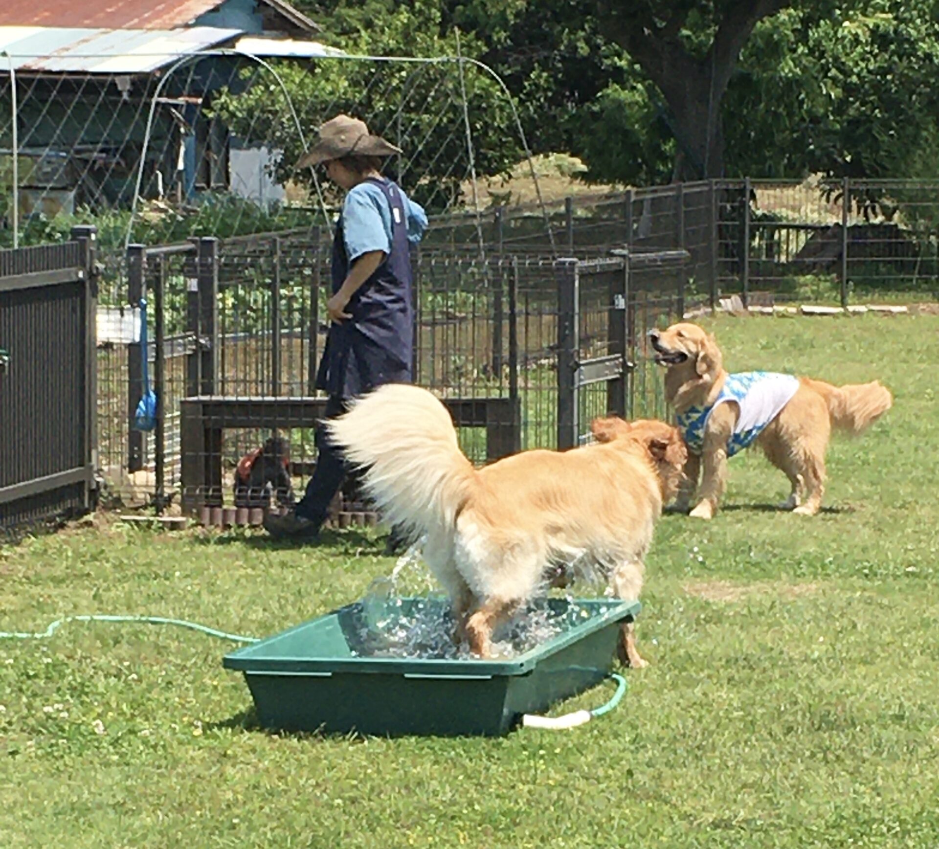 ファイル 8337-4.jpeg