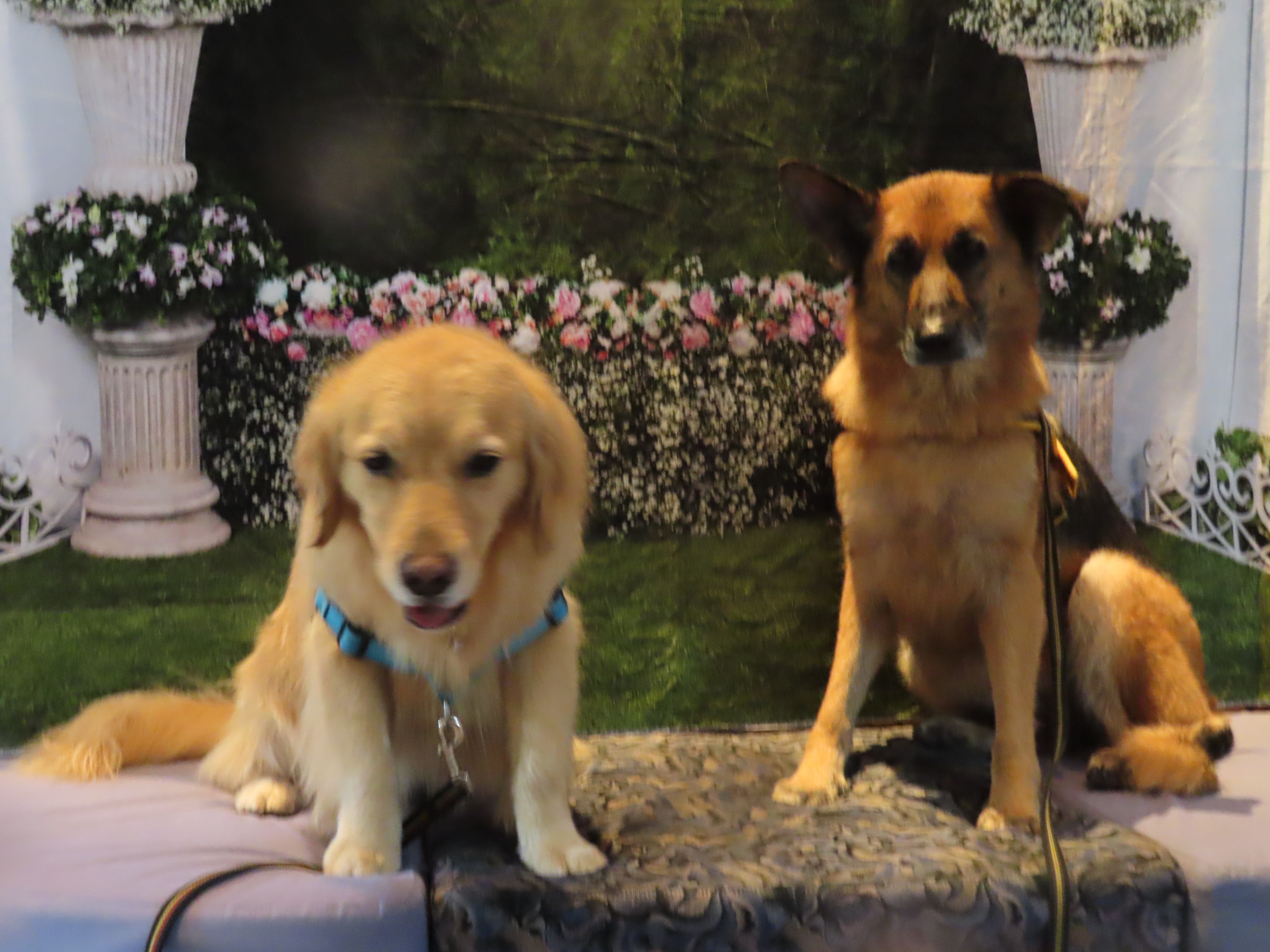 ファイル 8338-5.jpg