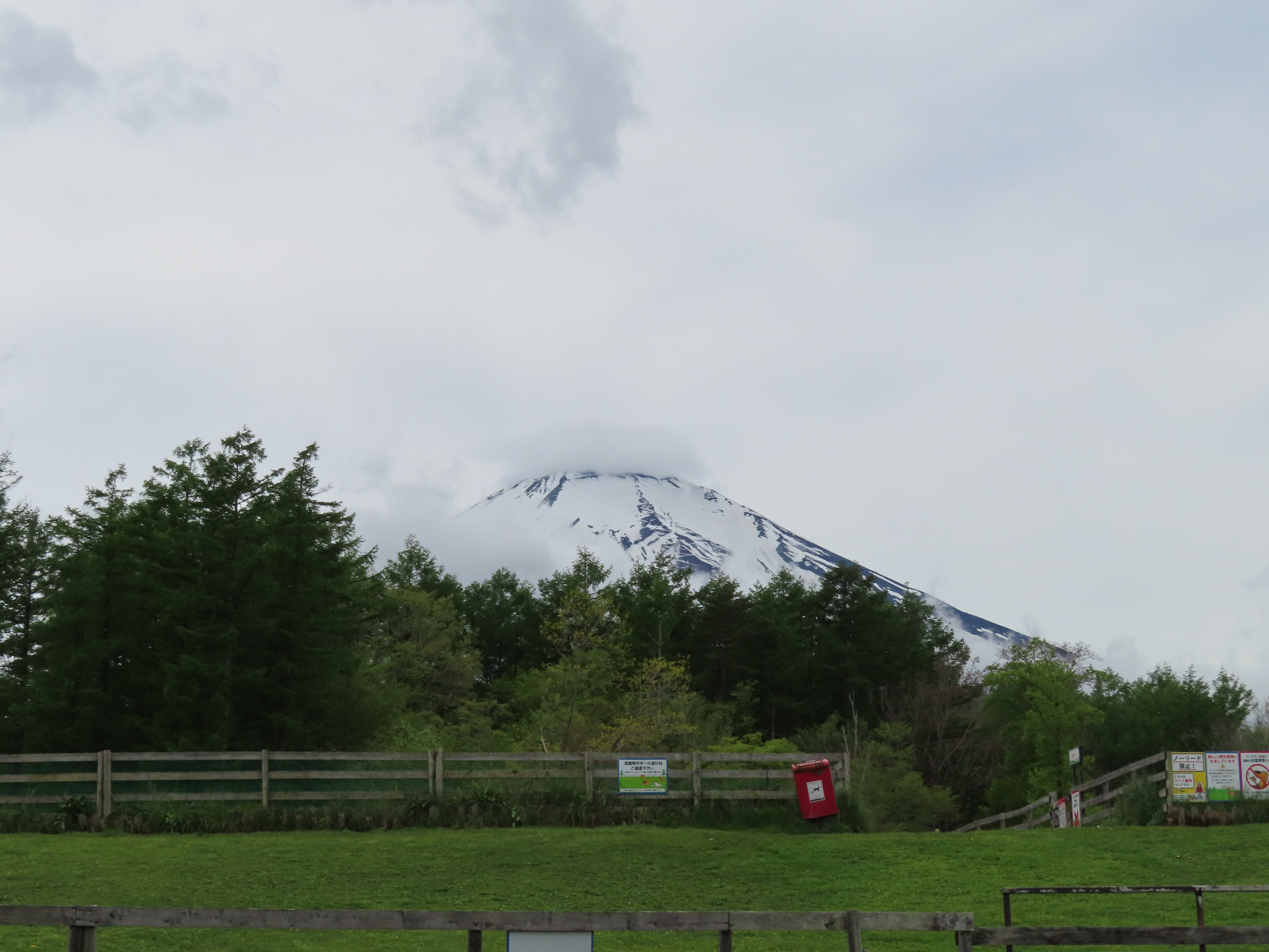 ファイル 8339-1.jpg