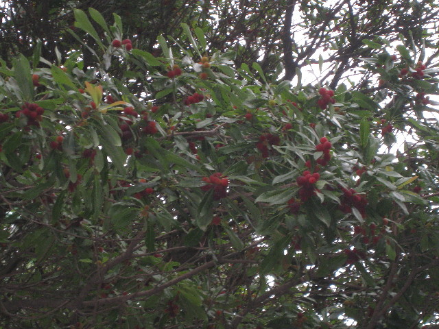 ファイル 834-1.jpg