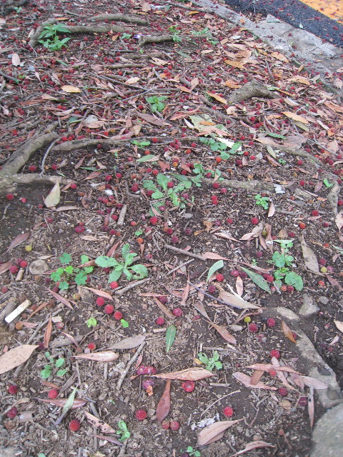 ファイル 834-2.jpg