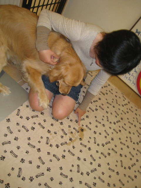 ファイル 834-5.jpg