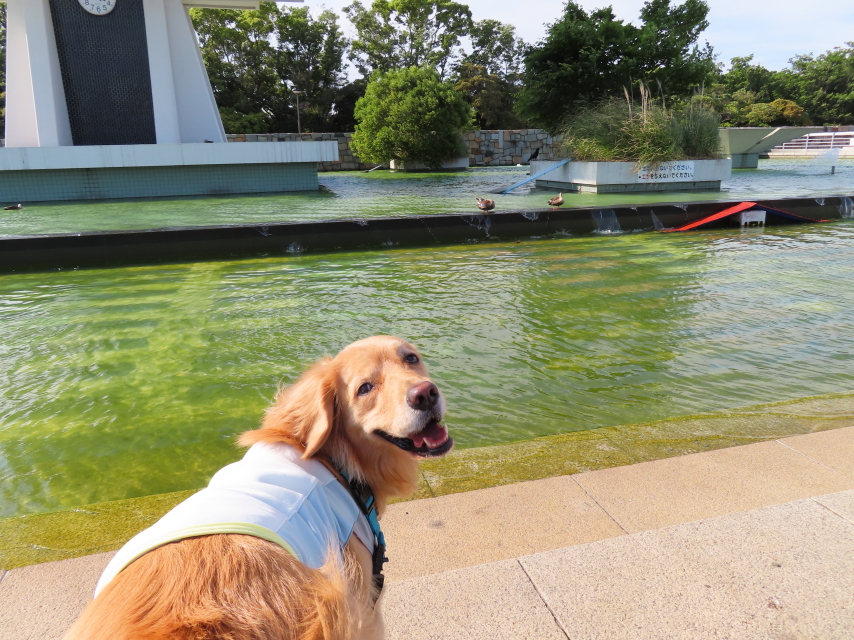 ファイル 8340-4.jpg