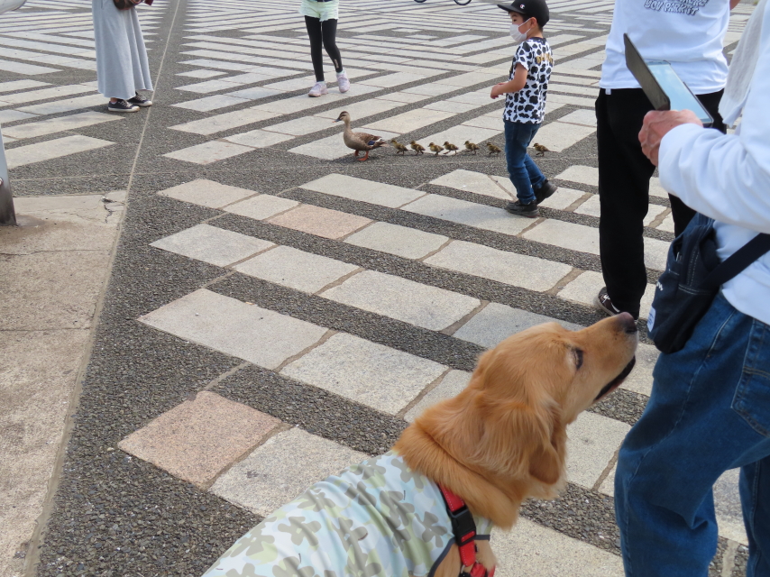 ファイル 8341-4.jpg