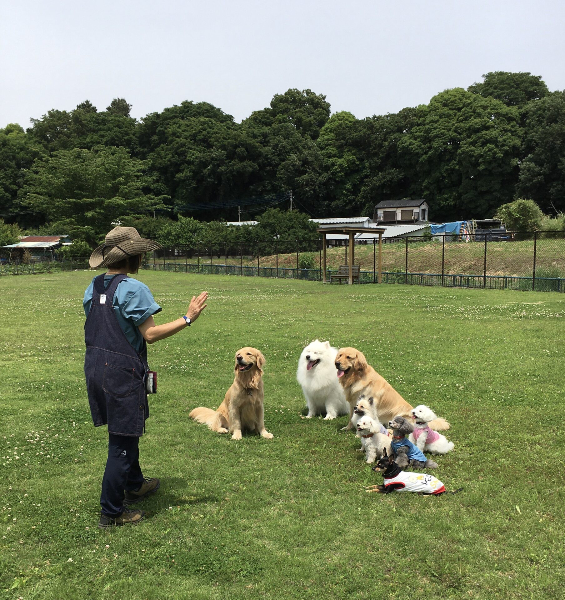 ファイル 8342-1.jpeg