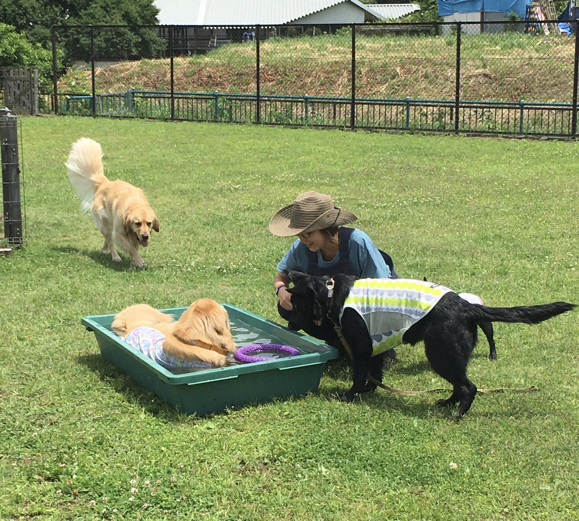 ファイル 8342-4.jpeg