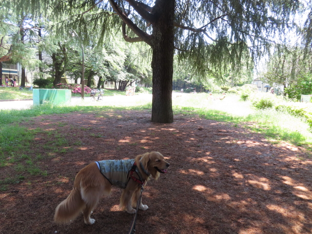 ファイル 8345-2.jpg