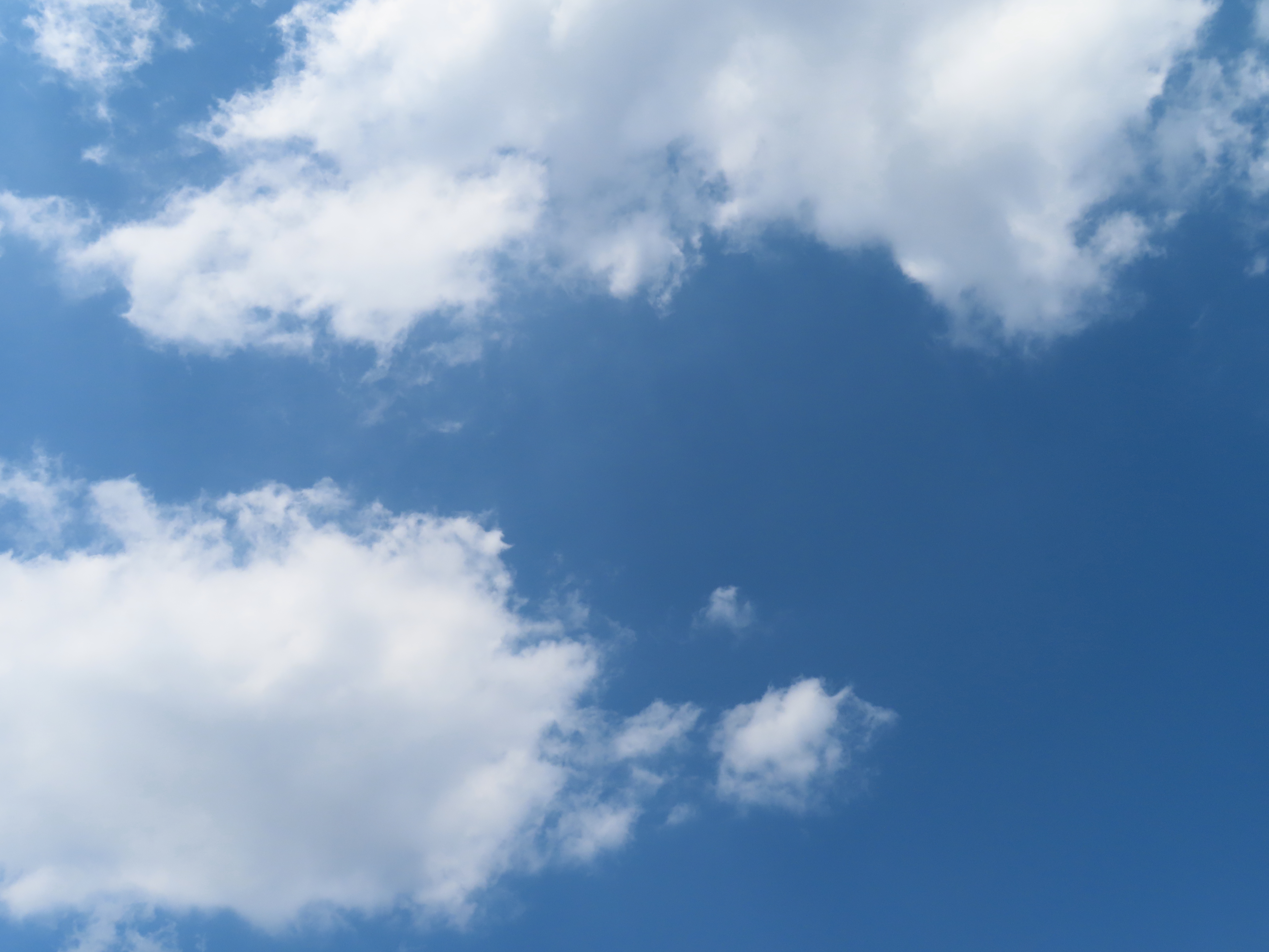 ファイル 8346-1.jpg