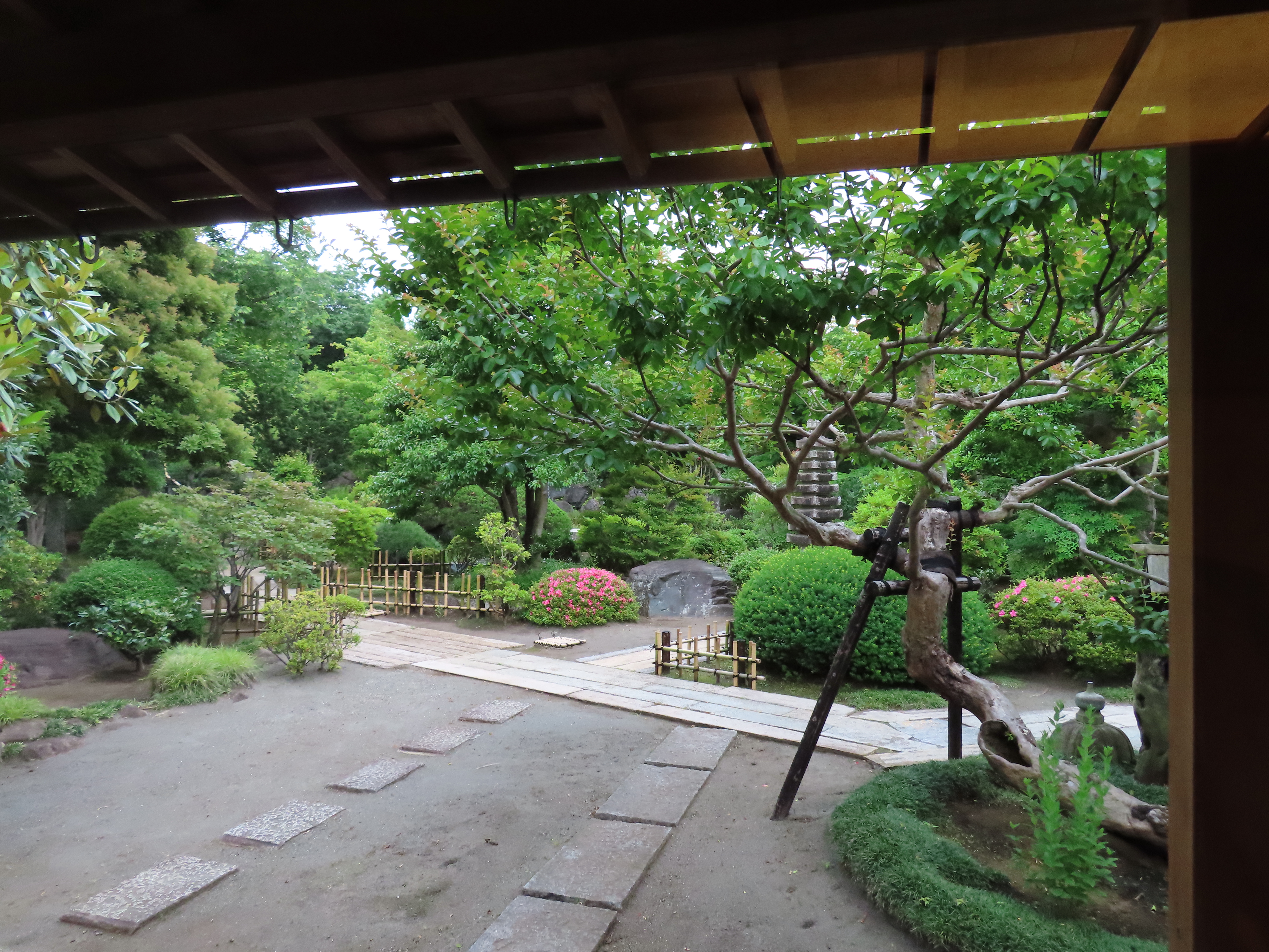 ファイル 8347-1.jpg