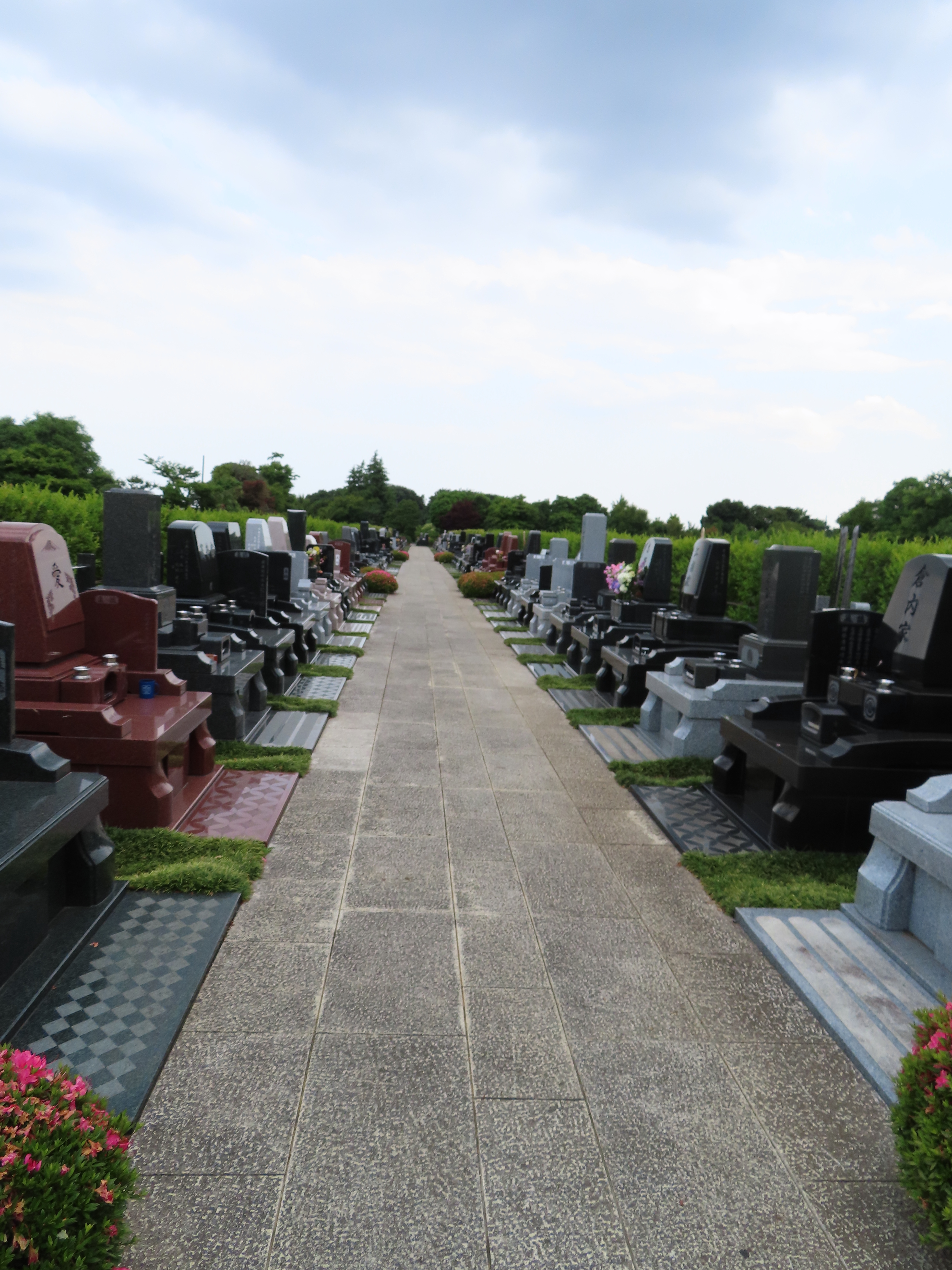 ファイル 8347-2.jpg